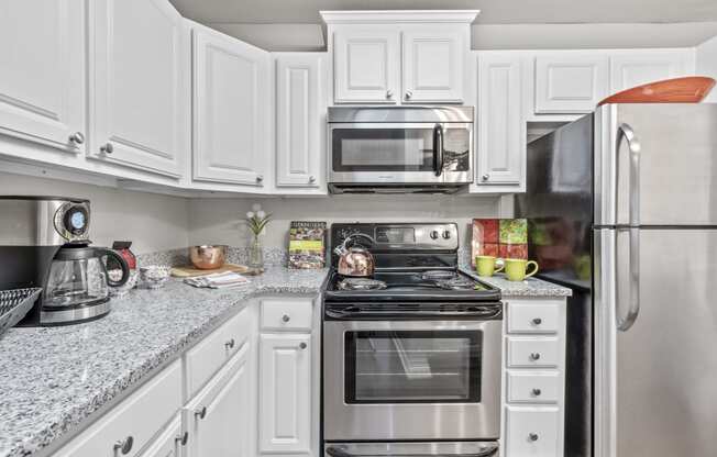 Fully Furnished Kitchen With Stainless Steel Appliances at Regency Place, North Carolina