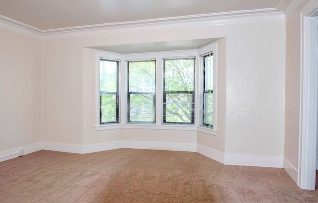 Studio, 1 bath, 480 sqft, $1,395, Unit 1519-202