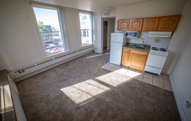 Studio, 1 bath, 245 sqft, $500, Unit 320