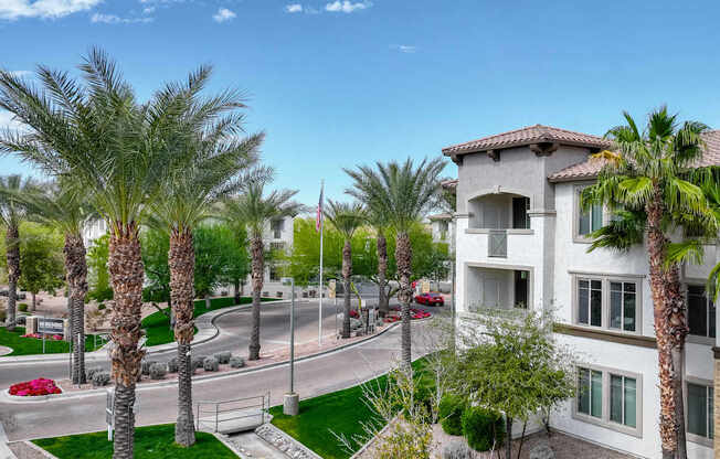 building with palm trees on the street at Monument, Chandler