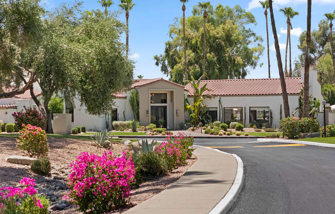A residential area with houses and palm trees.