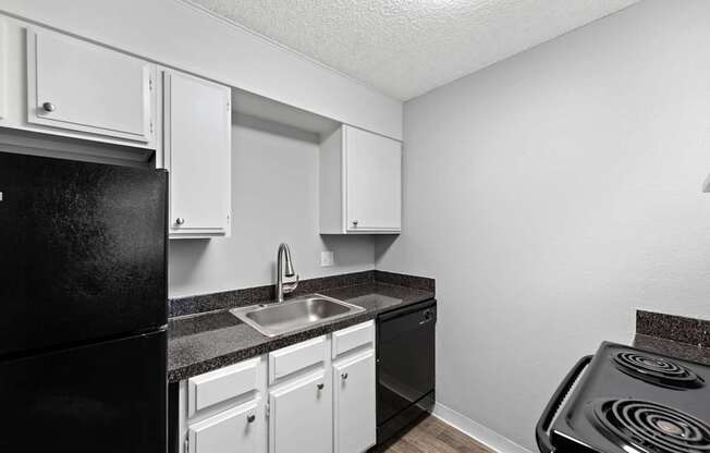 A black refrigerator sits next to a white sink in a kitchen.