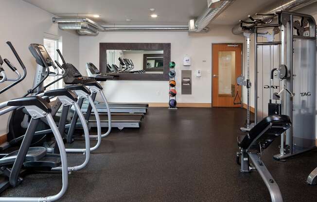 Goat Blocks in Portland, Oregon Fitness Center