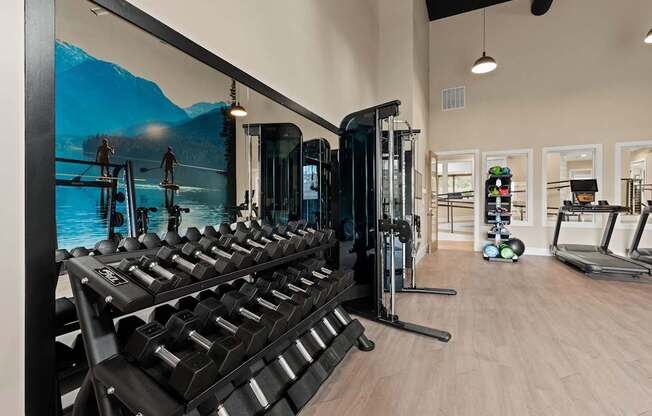 A gym with a row of dumbbells and a wall mural of a mountain scene.