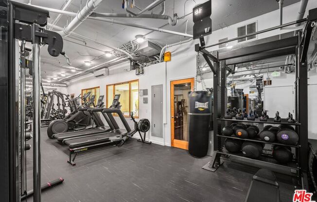 1 bed, 1 bath, 693 sqft, $3,000, Unit 228