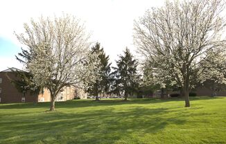 Peachgate Apartments