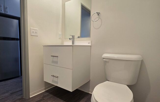 Studio, 1 bath, 226 sqft, $1,174, Unit 317