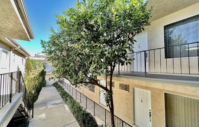 Apartment Building in Encino