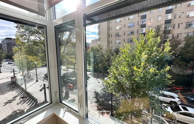 1 bed, 1 bath, $2,600, Unit 203