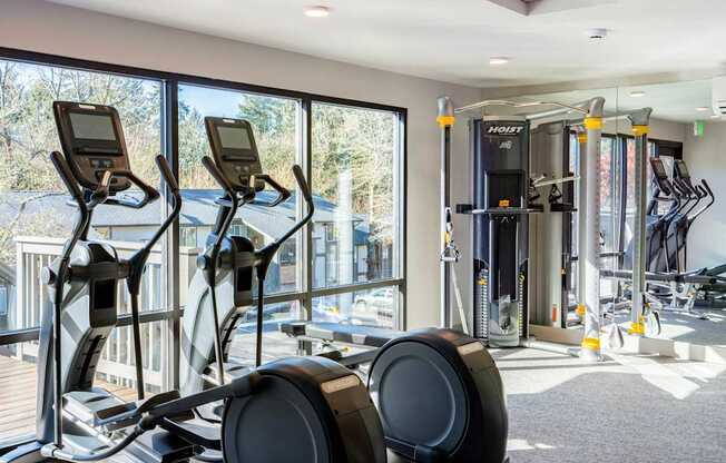 A gym with treadmills and elliptical machines.