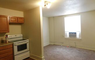 Studio, 1 bath, $525, Unit 1