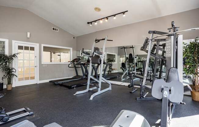 a gym with cardio machines and weights on the floor