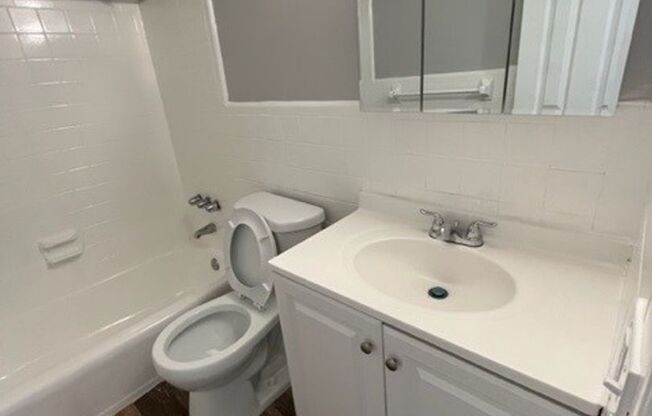 1 bed, 1 bath, 550 sqft, $1,595, Unit 2300-102