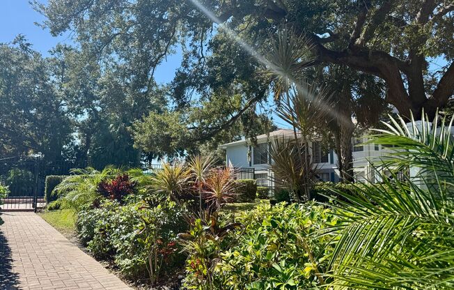 Central Park at East Bay