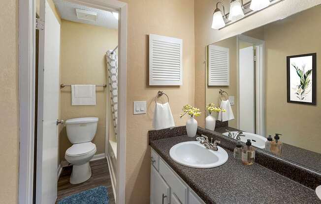 Riverchase Landing Bathroom