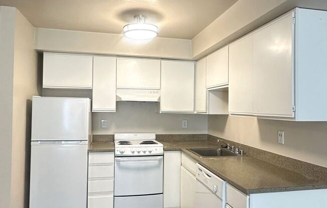 1 bed, 1 bath, $1,395, Unit 223