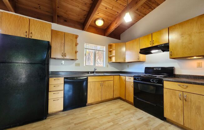 1449 Ditty Ave.