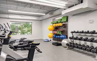 Fitness center- free weights, cardio machines