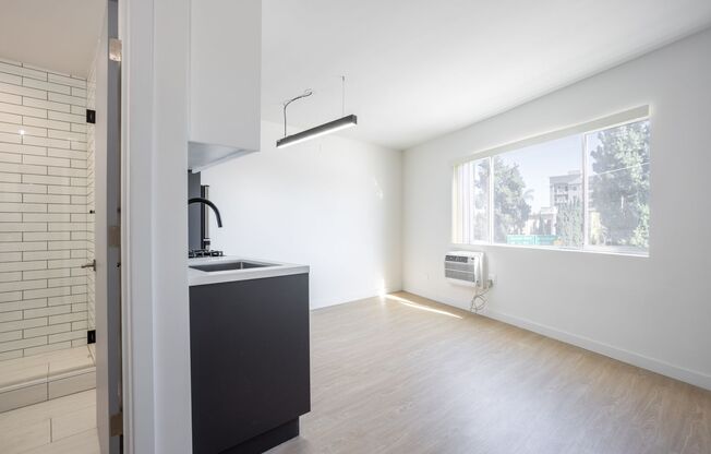 Studio, 1 bath, 263 sqft, $1,399, Unit 226