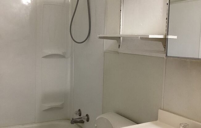 1 bed, 1 bath, $600