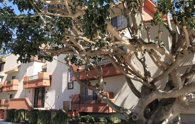 1 bed, 1 bath, 650 sqft, $2,580, Unit 8555-114