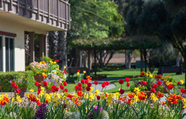 Courtyard With Green Space at Valley West, San Jose