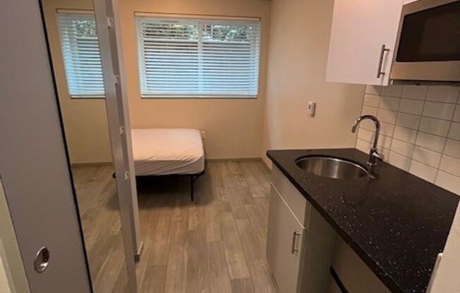 Studio, 1 bath, 171 sqft, $950, Unit 205
