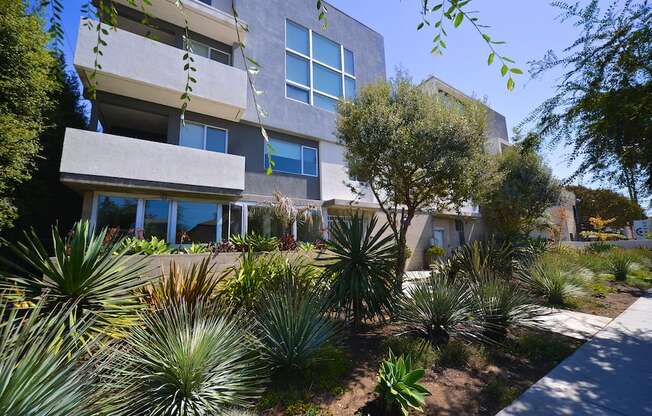 Mar Vista Lofts - Lush Landscaping