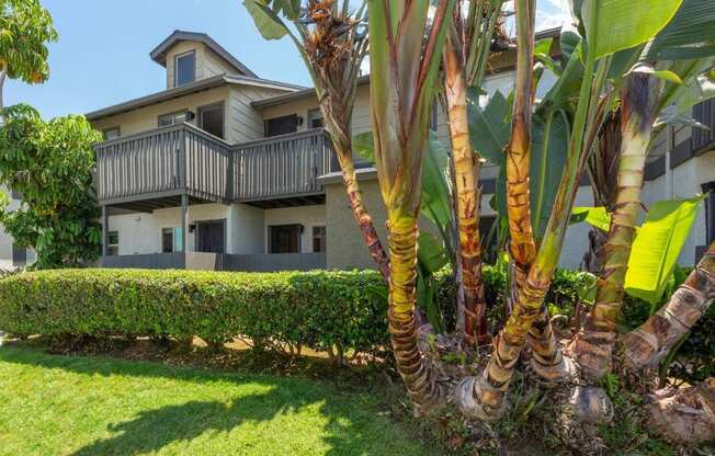 Home - Elan Cypress Cove - Carlsbad, CA