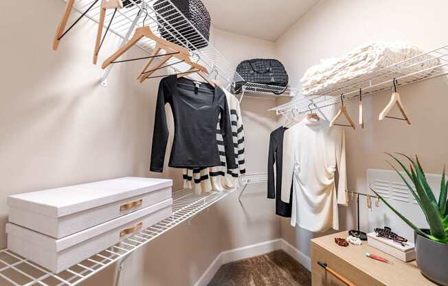 A white closet with clothes hanging and a plant on the desk.