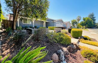 Beautifully Renovated 3 bed/2 bath Home in College Greens