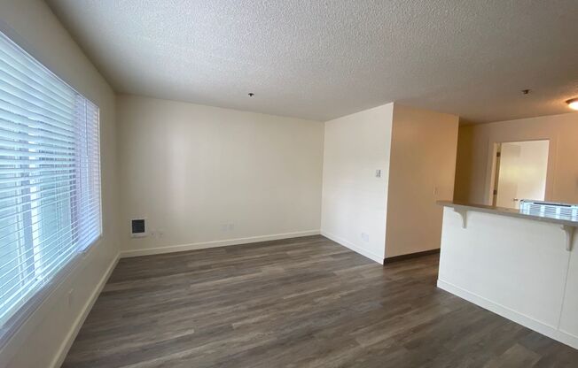 1 bed, 1 bath, 415 sqft, $1,395, Unit 2