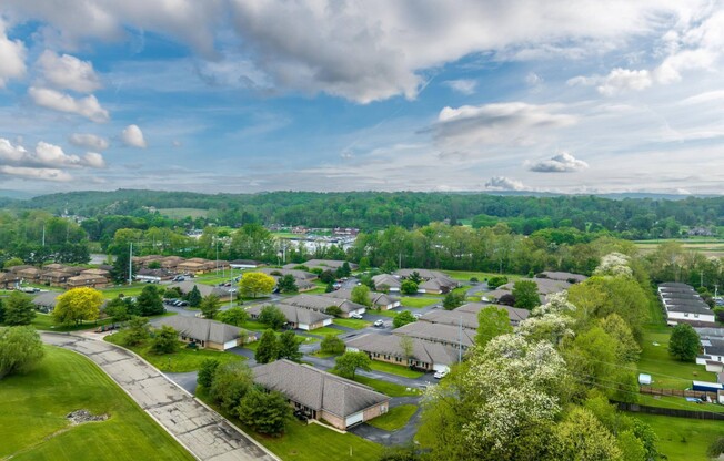 Community Aerial View