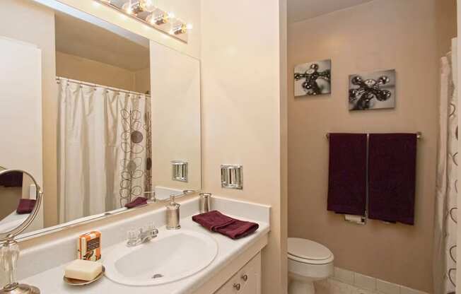 a bathroom with a sink and a mirror and a toilet