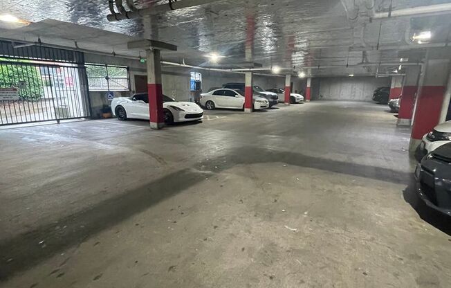 Studio, 1 bath, 483 sqft, $1,450, Unit 308