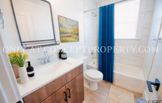 Studio, 1 bath, 285 sqft, $1,149, Unit 12