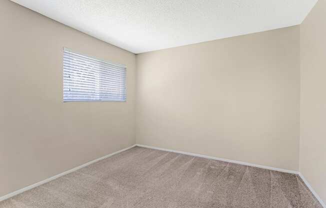A room with a carpeted floor and a window with blinds.