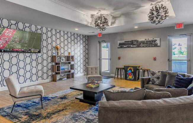 A living room with a grey couch and a blue rug.