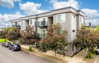 INSLEY APARTMENTS (INS01)