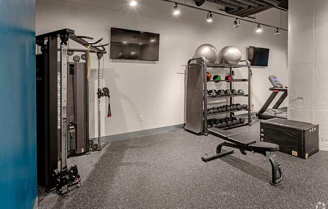 A gym with a weight rack, a bench, and a row of dumbbells.