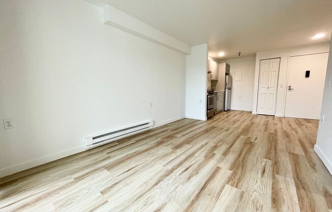 Studio, 1 bath, 480 sqft, $1,450, Unit 316