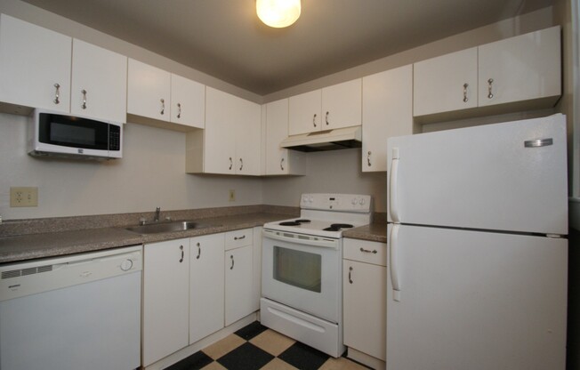 Studio, 1 bath, 423 sqft, $1,250, Unit 216
