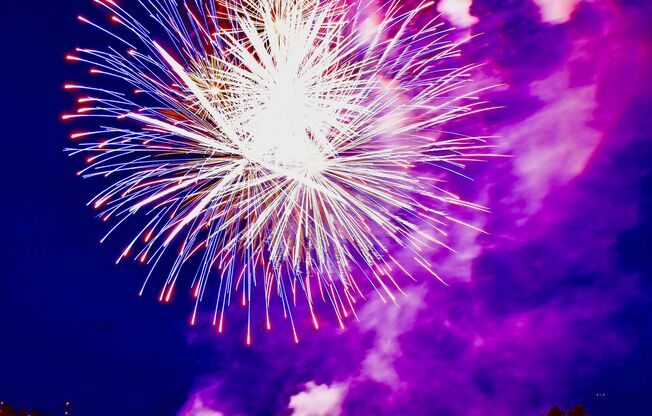 1 bed, 1 bath, $2,395, Unit 211