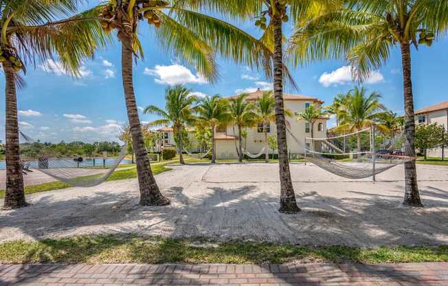 A hammock is strung between two palm trees on a sunny day.