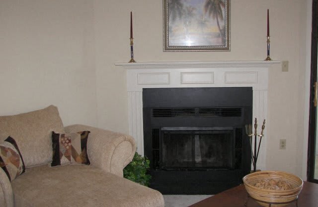 Wildwood Apartments Thomasville GA FIreplace