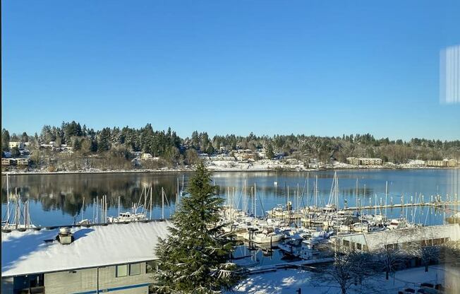 Harbor view in the snowat Harbor Heights 55+ Community, Olympia