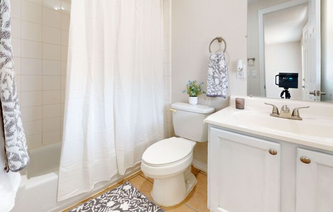 1 bed, 1 bath, 649 sqft, $1,429, Unit 509-17