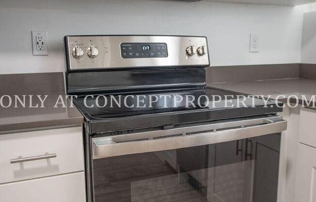 1 bed, 1 bath, 325 sqft, $1,299, Unit 1E