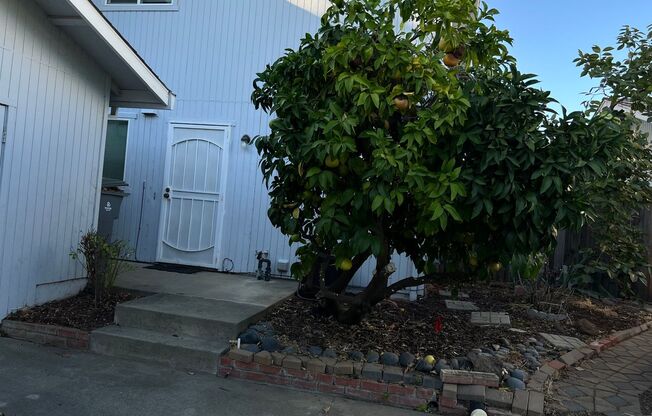 New Price $2,100.00 South Davis Townhome On Veranda Terrace,  3+1.5, Garage, Small backyard, Fruit trees.