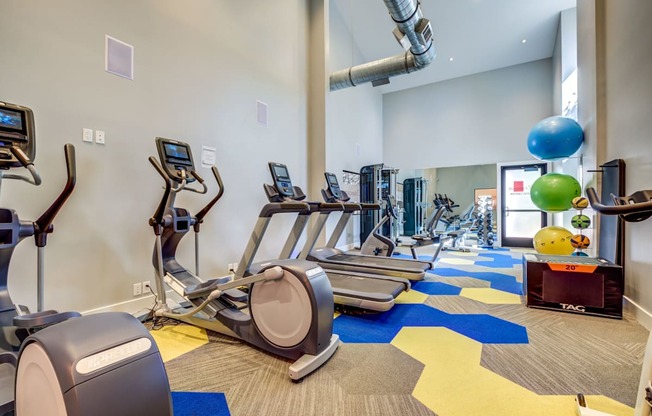 The Alexandar Apartments Fitness Center